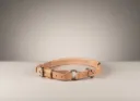 Leder-Zughalsband